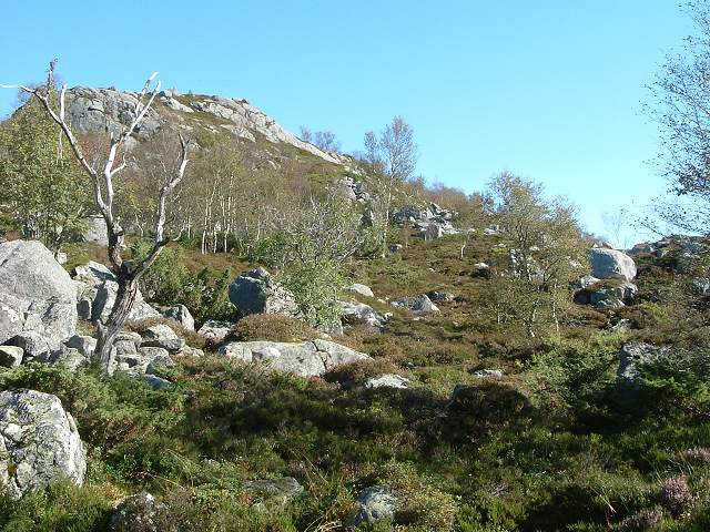 リーセフィヨルドの写真の写真