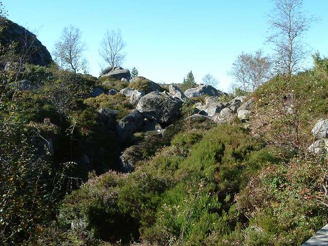 リーセフィヨルドの写真の写真