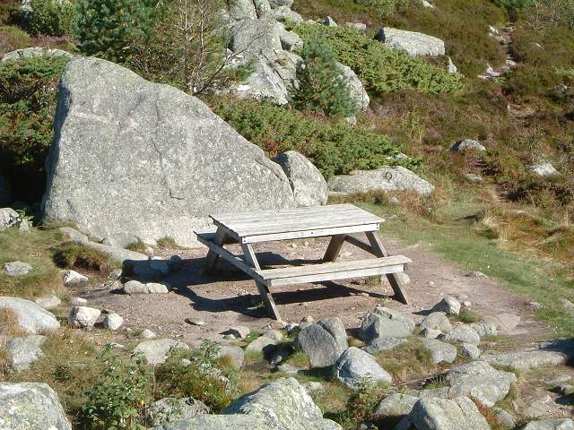 リーセフィヨルド・休憩所の写真の写真