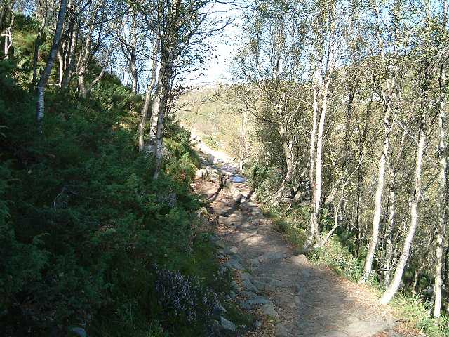 リーセフィヨルドの写真の写真