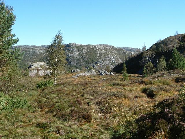 リーセフィヨルドの写真の写真