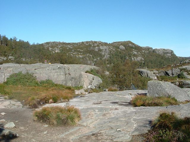リーセフィヨルド・岩に力強く野草が生えるの写真の写真
