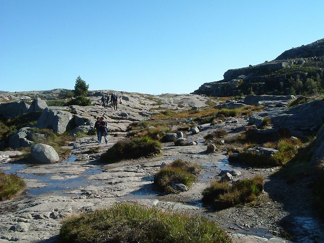 リーセフィヨルド・あと少しでフィヨルドか？の写真の写真