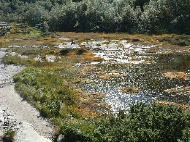 リーセフィヨルドの写真の写真