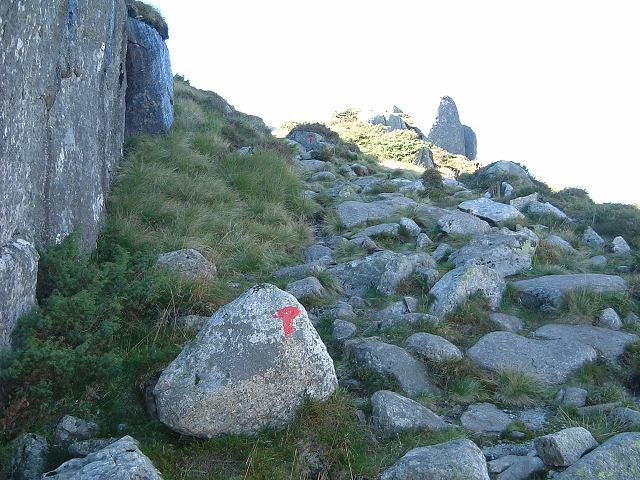 リーセフィヨルドの写真の写真