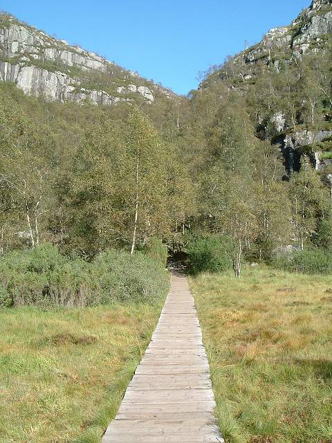 リーセフィヨルド・現実逃避をすると尾瀬のように思えたの写真の写真