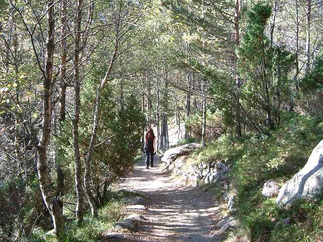 リーセフィヨルドの写真の写真