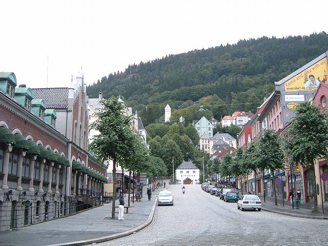 ベルゲン・Fv264の写真の写真