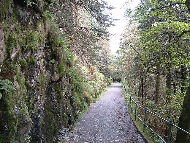 ベルゲンの写真の写真