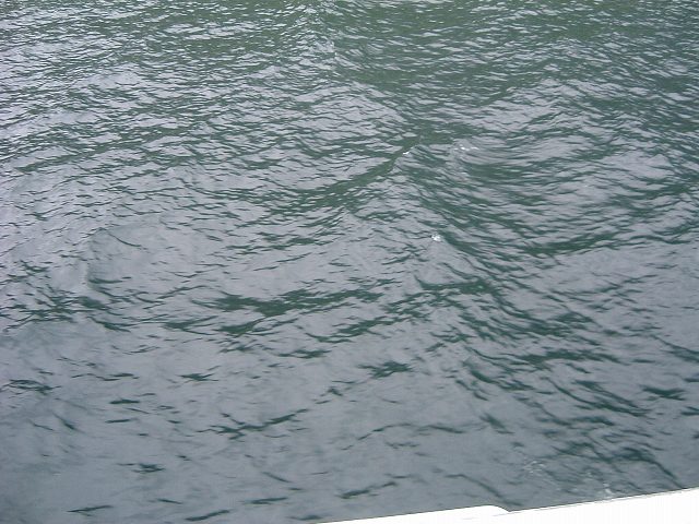 ベルゲン〜ソグネフィヨルド〜フロムの写真の写真