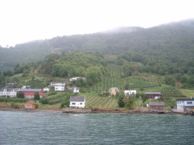 ベルゲン〜ソグネフィヨルド〜フロムの写真の写真