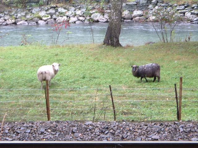 フロムの写真の写真