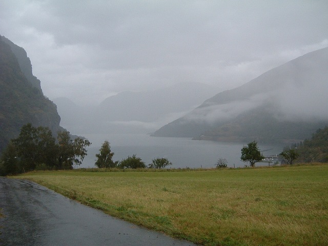 フロムの写真の写真