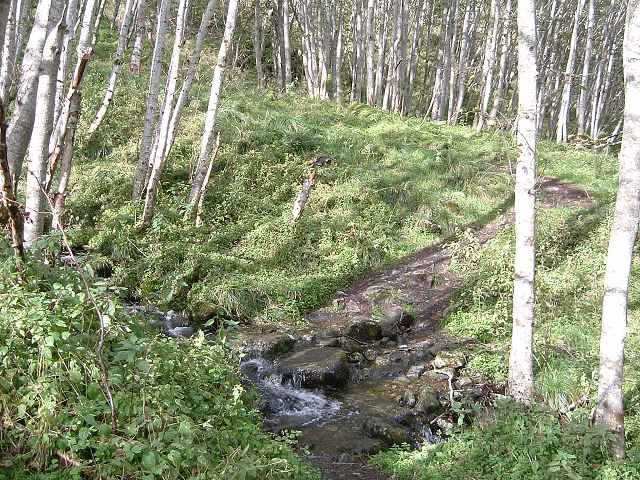 フロム(フロム鉄道)の写真の写真
