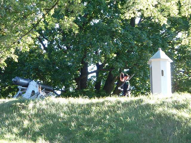 オスロの写真の写真