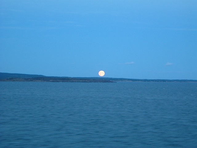 船(DFDS)・月がのぼるの写真の写真