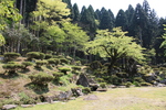 特別史跡・特別名勝・一乗谷朝倉氏庭園・諏訪館跡庭園２