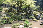 特別史跡・特別名勝・一乗谷朝倉氏庭園・諏訪館跡庭園４
