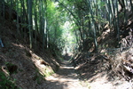 一乗谷・登山道