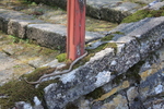 大谷寺・蛇