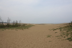 山陰海岸国立公園・天然記念物・鳥取砂丘２