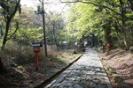 大上山神社奥宮・参道３
