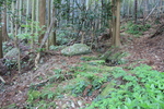 世界遺産・石見銀山遺跡・鞆ヶ浦道２５