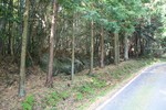 世界遺産・石見銀山遺跡・鞆ヶ浦道４２