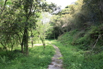 世界遺産・石見銀山遺跡・鞆ヶ浦道９５