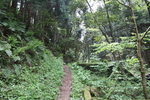 世界遺産・石見銀山遺跡・温泉津沖泊道６