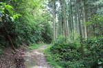 世界遺産・石見銀山遺跡・温泉津沖泊道４５