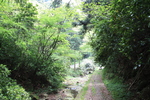 世界遺産・石見銀山遺跡・温泉津沖泊道４７