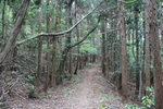 世界遺産・石見銀山遺跡・温泉津沖泊道８３