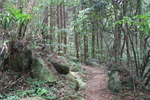 世界遺産・石見銀山遺跡・温泉津沖泊道８６