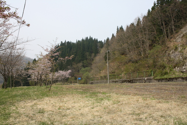 九頭竜湖３の写真の写真