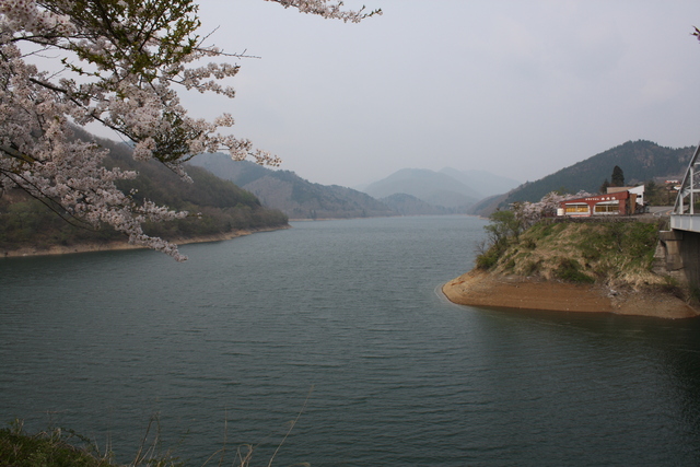 九頭竜湖５の写真の写真