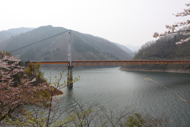 九頭竜湖６の写真の写真