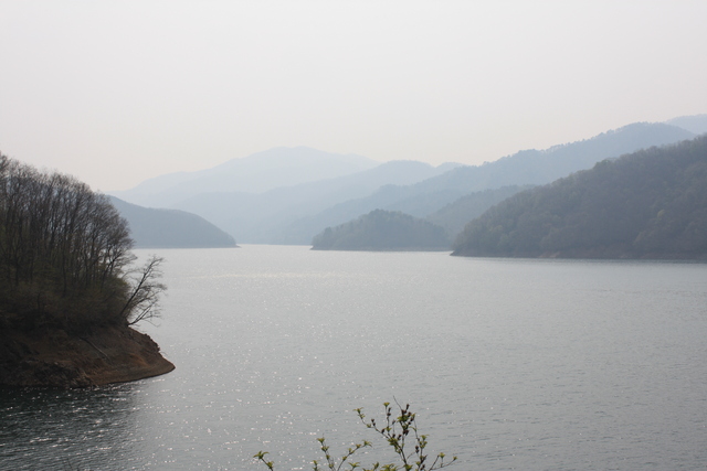 九頭竜湖７の写真の写真