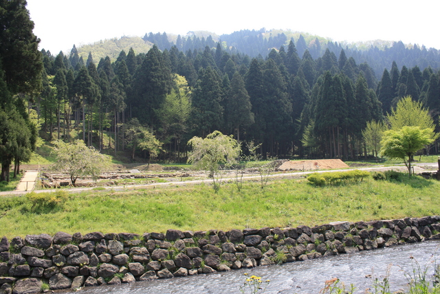 一乗谷・一乗谷川７の写真の写真