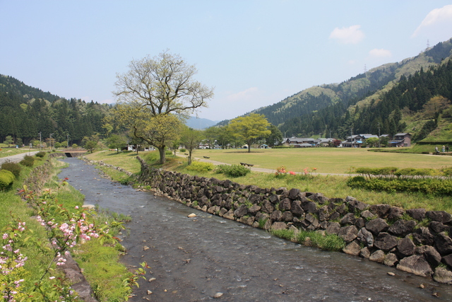 一乗谷・一乗谷川・上流側の写真の写真