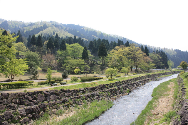 一乗谷・一乗谷川・下流側の写真の写真