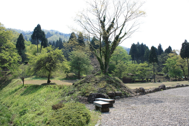 特別史跡・一乗谷朝倉氏遺跡・朝倉義景館跡付近２の写真の写真