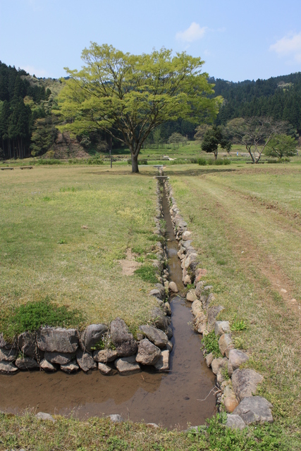 特別史跡・一乗谷朝倉氏遺跡・朝倉義景館跡付近５の写真の写真