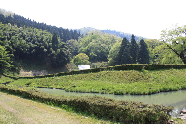 特別史跡・一乗谷朝倉氏遺跡・朝倉義景館跡・土塁と濠６の写真の写真