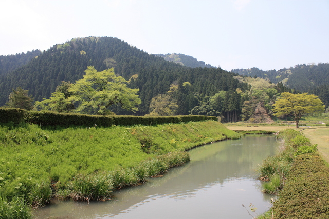 特別史跡・一乗谷朝倉氏遺跡・朝倉義景館跡・土塁と濠７の写真の写真