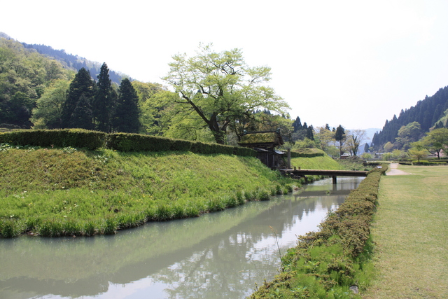 特別史跡・一乗谷朝倉氏遺跡・朝倉義景館跡・土塁と濠８の写真の写真