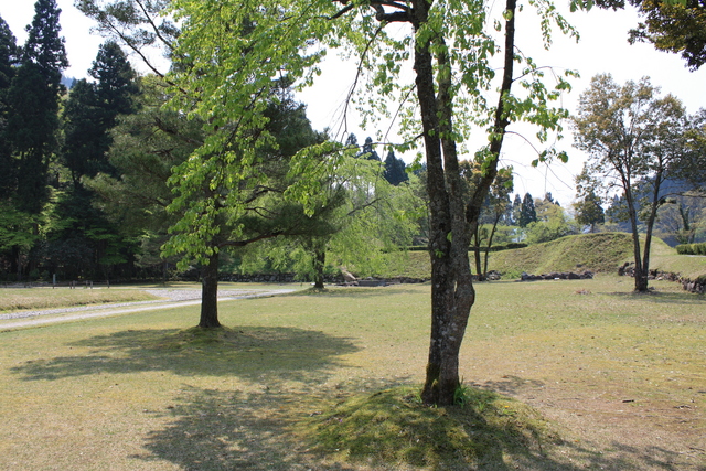特別史跡・一乗谷朝倉氏遺跡・朝倉義景館跡４の写真の写真