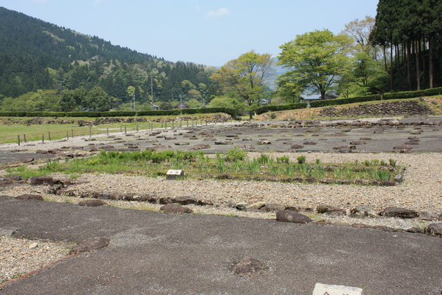 特別史跡・一乗谷朝倉氏遺跡・朝倉義景館跡・花壇の写真の写真