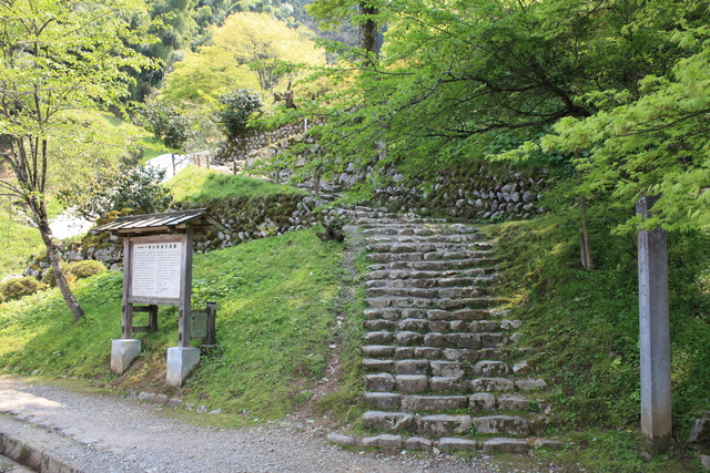 特別史跡・一乗谷朝倉氏遺跡・朝倉義景館跡３５の写真の写真