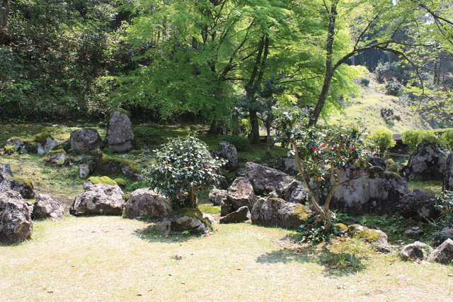 特別名勝・一乗谷朝倉氏庭園・湯殿跡庭園１０の写真の写真
